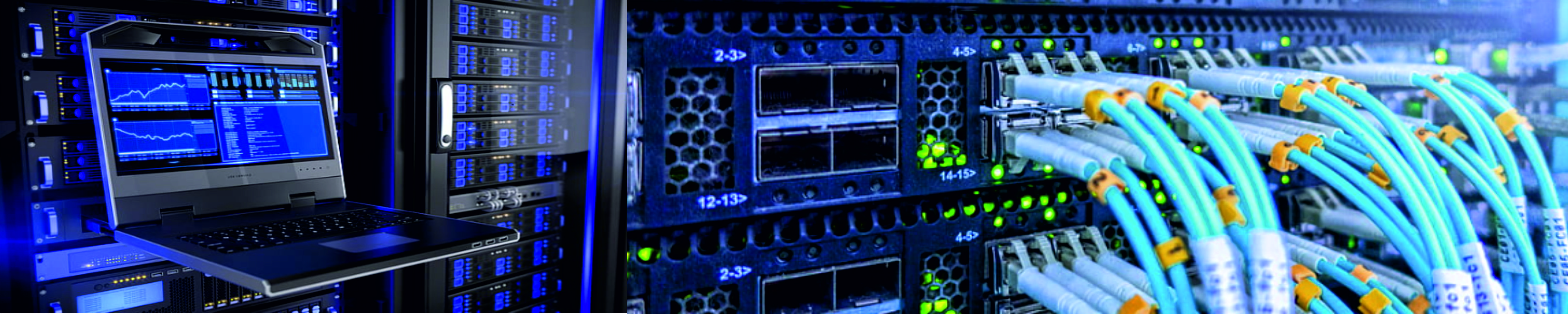 Banner 1