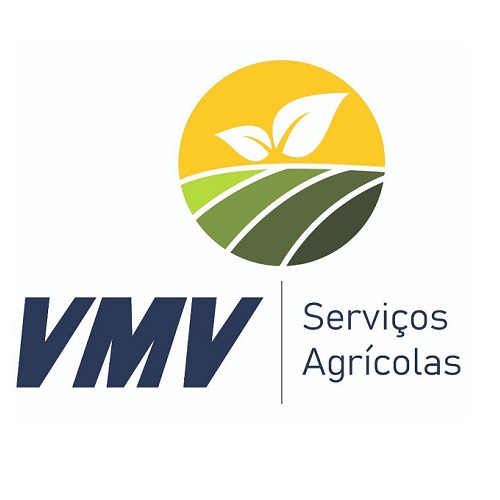 Cliente 7